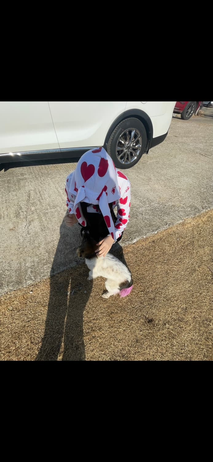 Super lovers 슈퍼러버즈 토끼 후드집업 상품이미지1