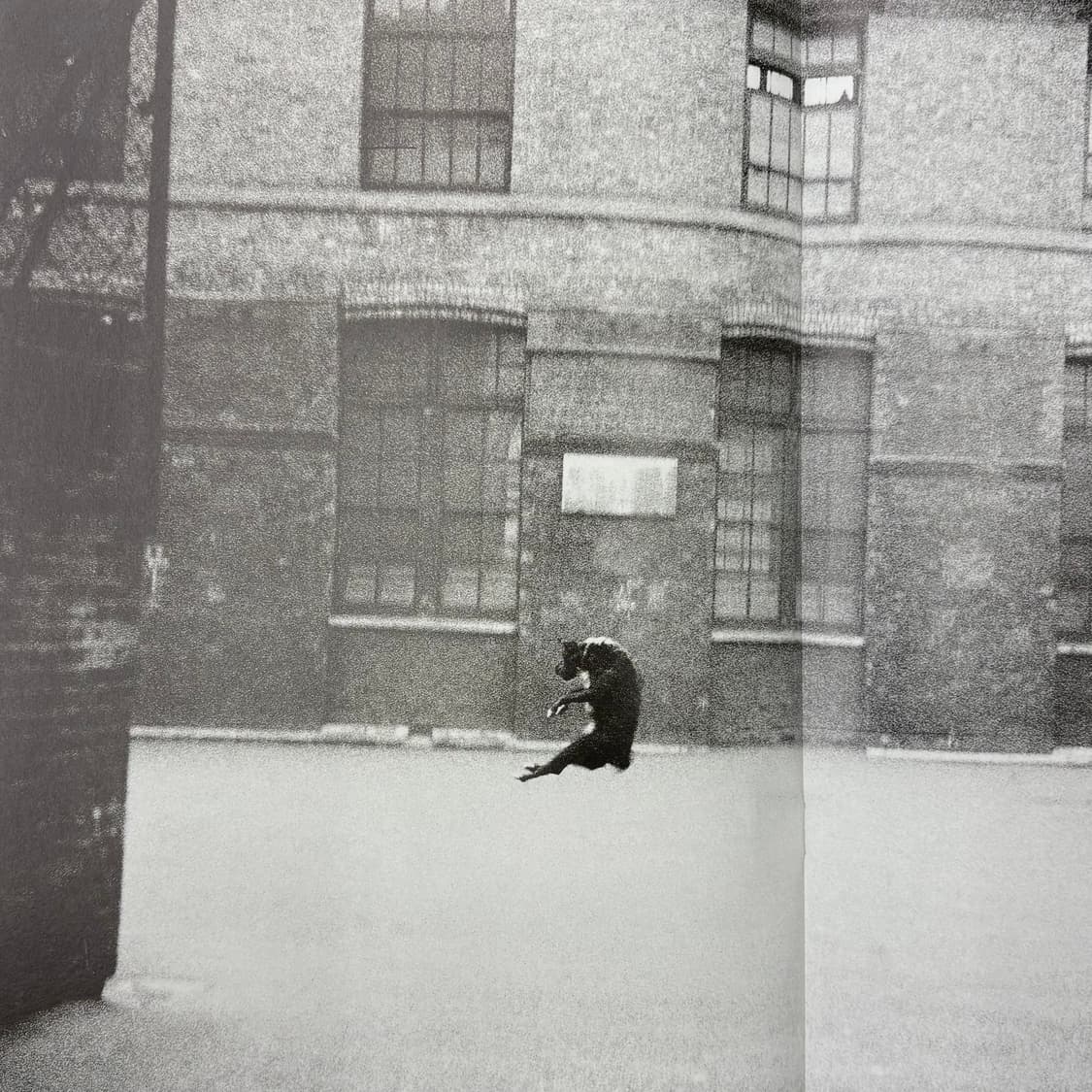 Comme Des Garcons ‘Six’ Art Book 상품이미지7