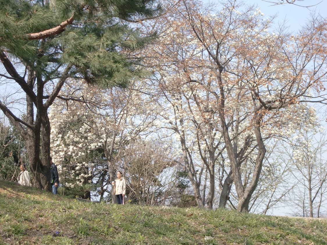 입문&강추!) Casio Exilim EX-Z700 디카 카메라 상품이미지5