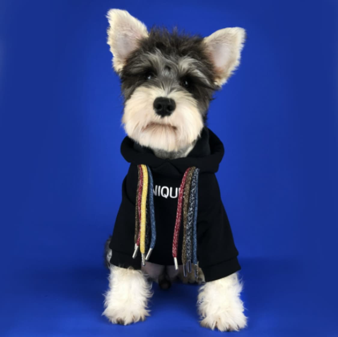 유니크 블랙 강아지 후드티셔츠 상품이미지1