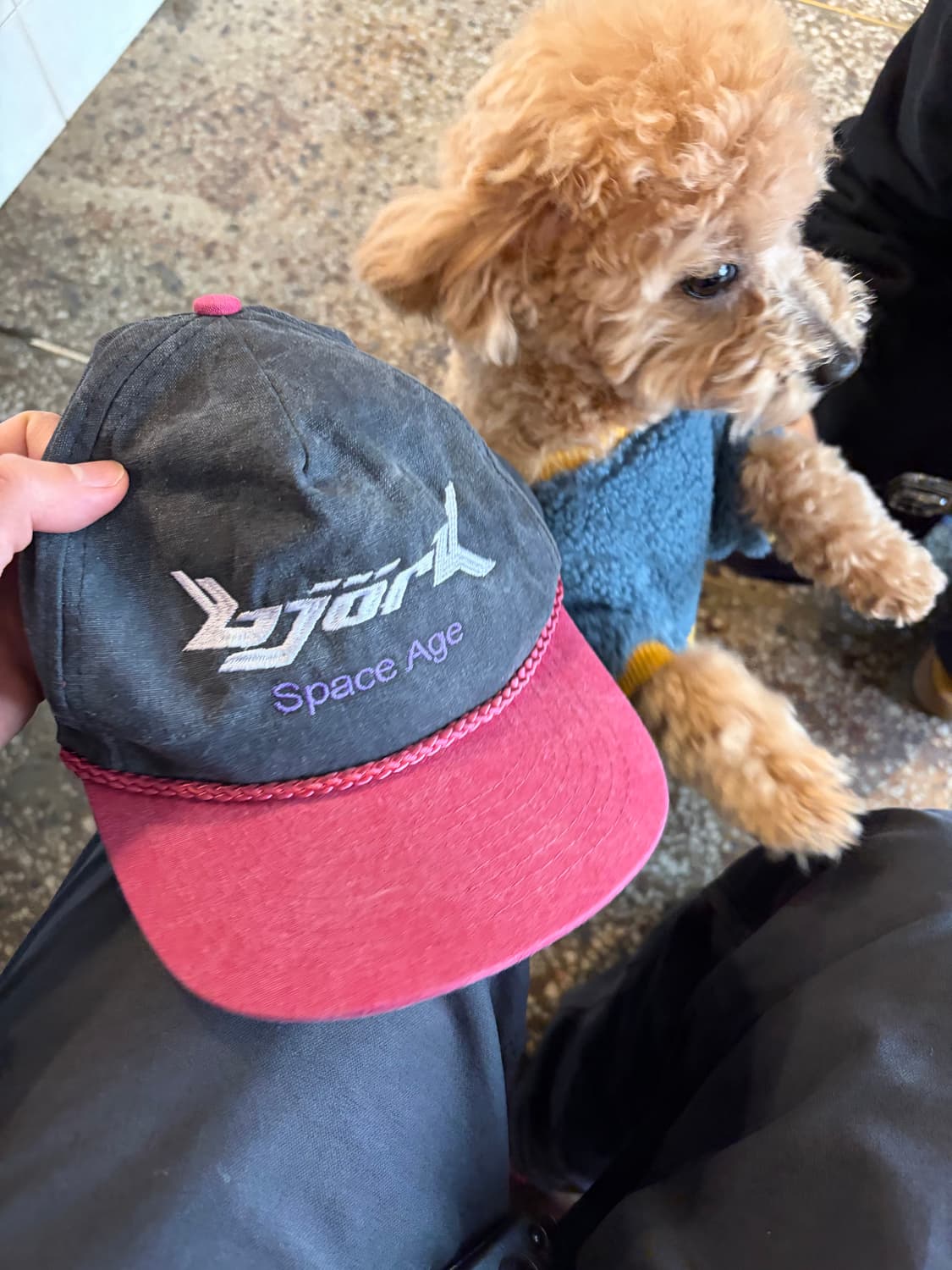 90s Bjork cap 상품이미지2