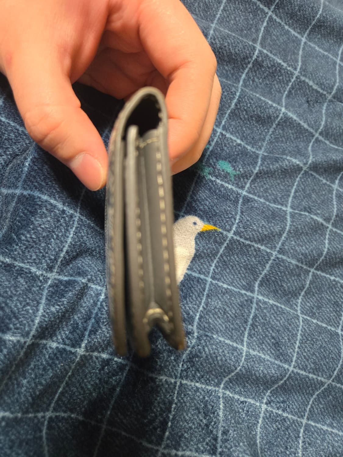 고야드 카드지갑 말제르브 팝니다. 상품이미지4