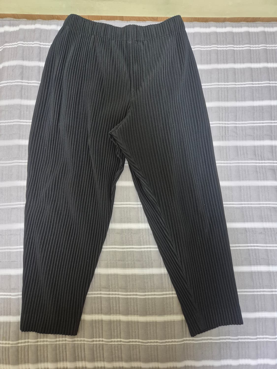 옴므플리세 이세이미야케 팬츠JF103(2사이즈) 상품이미지1