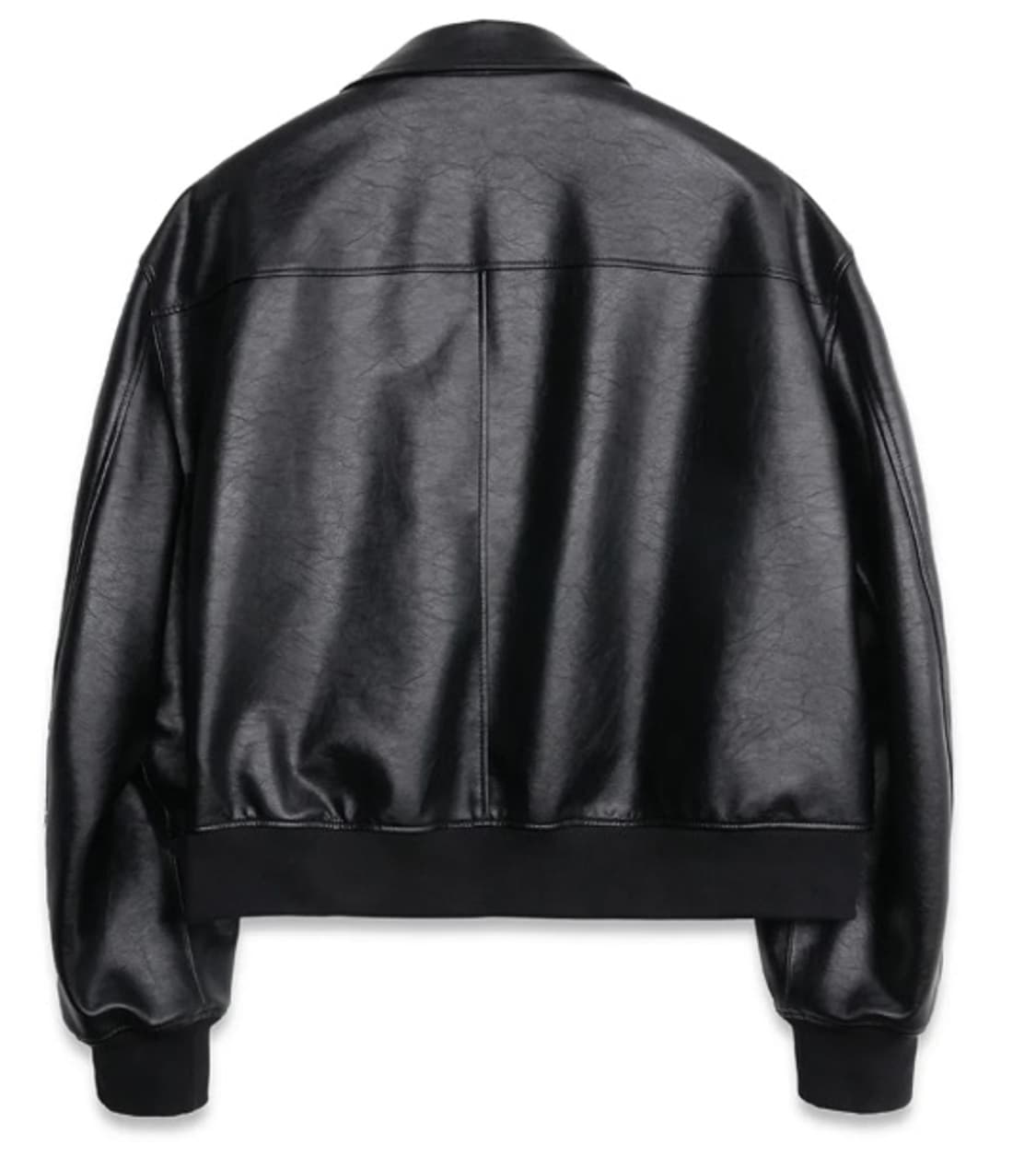 도프제이슨 - 모나크 크롭 레더 블루종 L 상품이미지2