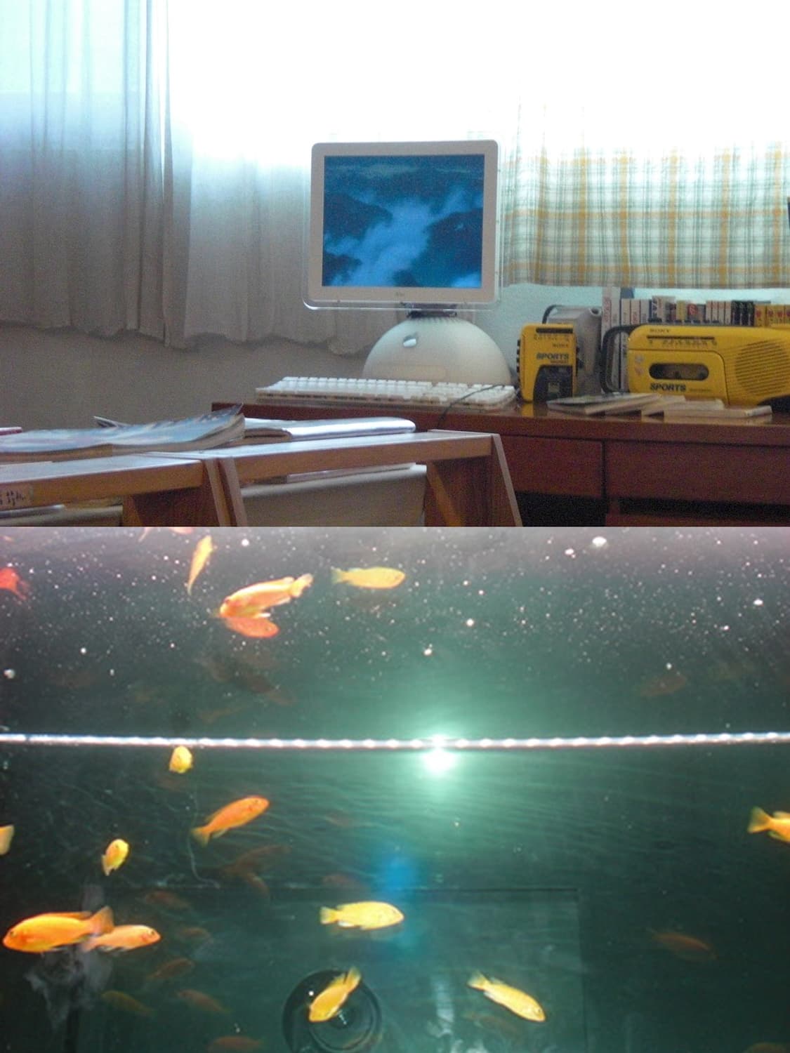 🐋 카시오 엑실림 EX-Z80 🐋 풀박스 빈티지 디카 상품이미지6