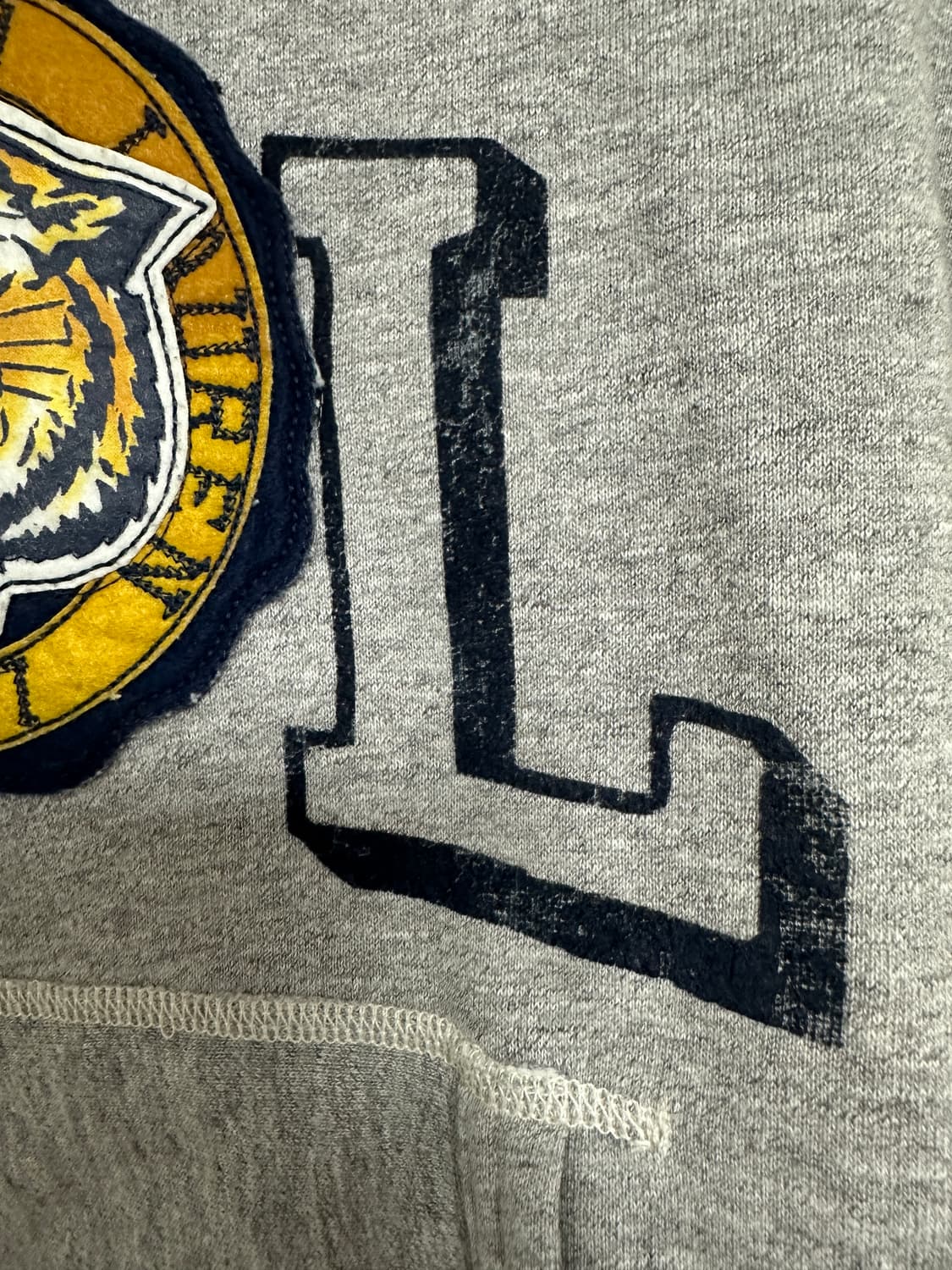 폴로 타이거 후드티 상품이미지5