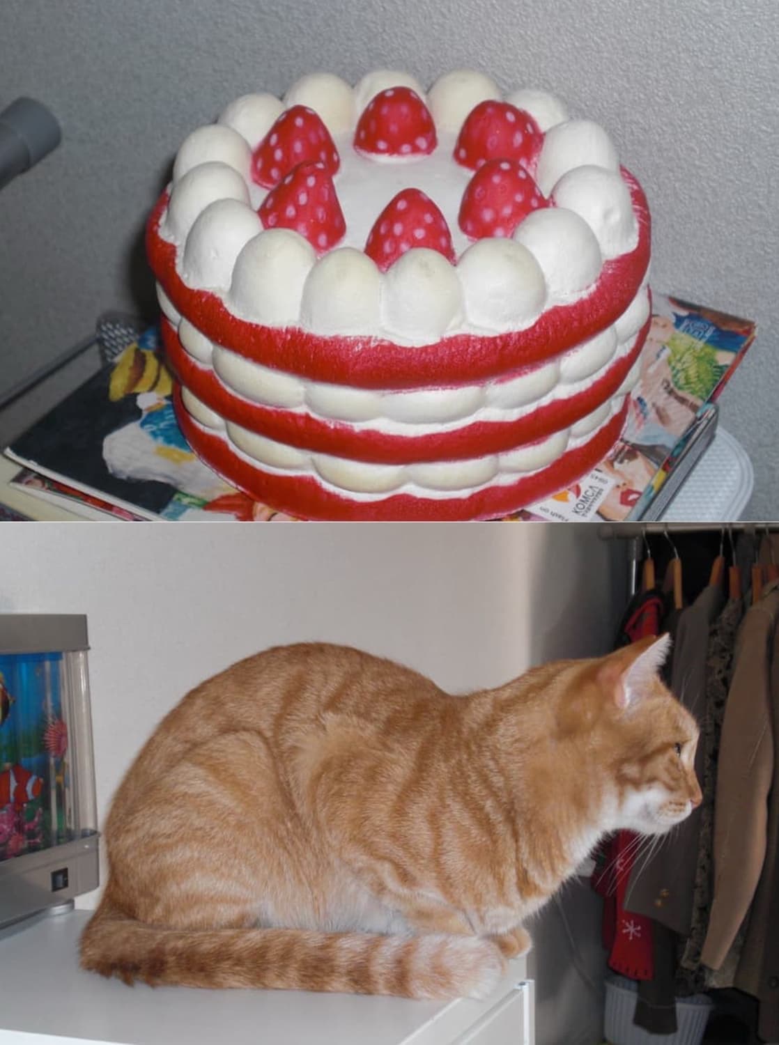 카시오 엑슬림 ex-z85 🖤희귀컬러 블랙🖤 작례O 구성품다있음! 상품이미지9