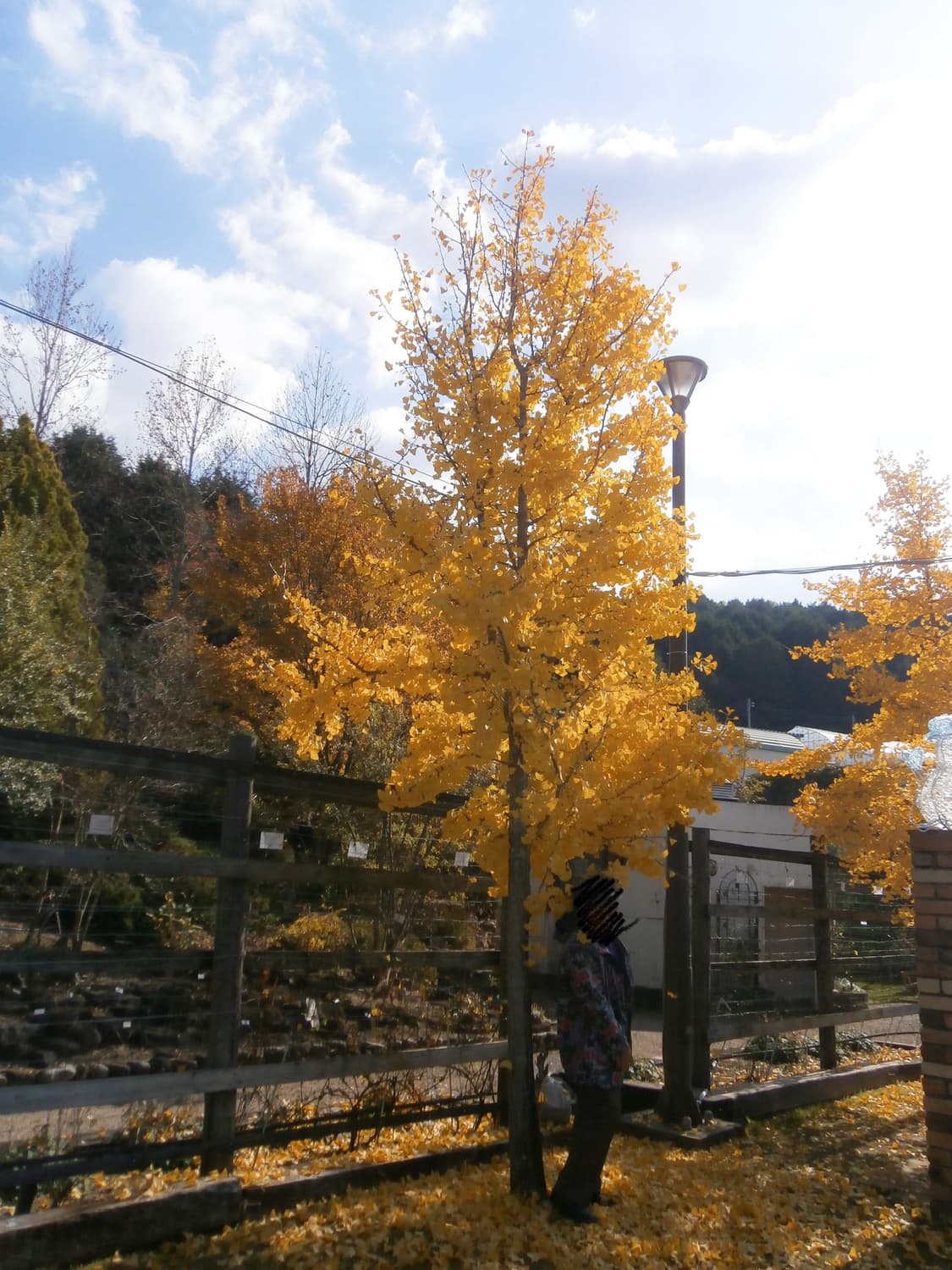 올림푸스 VH-210 오렌지 상품이미지9