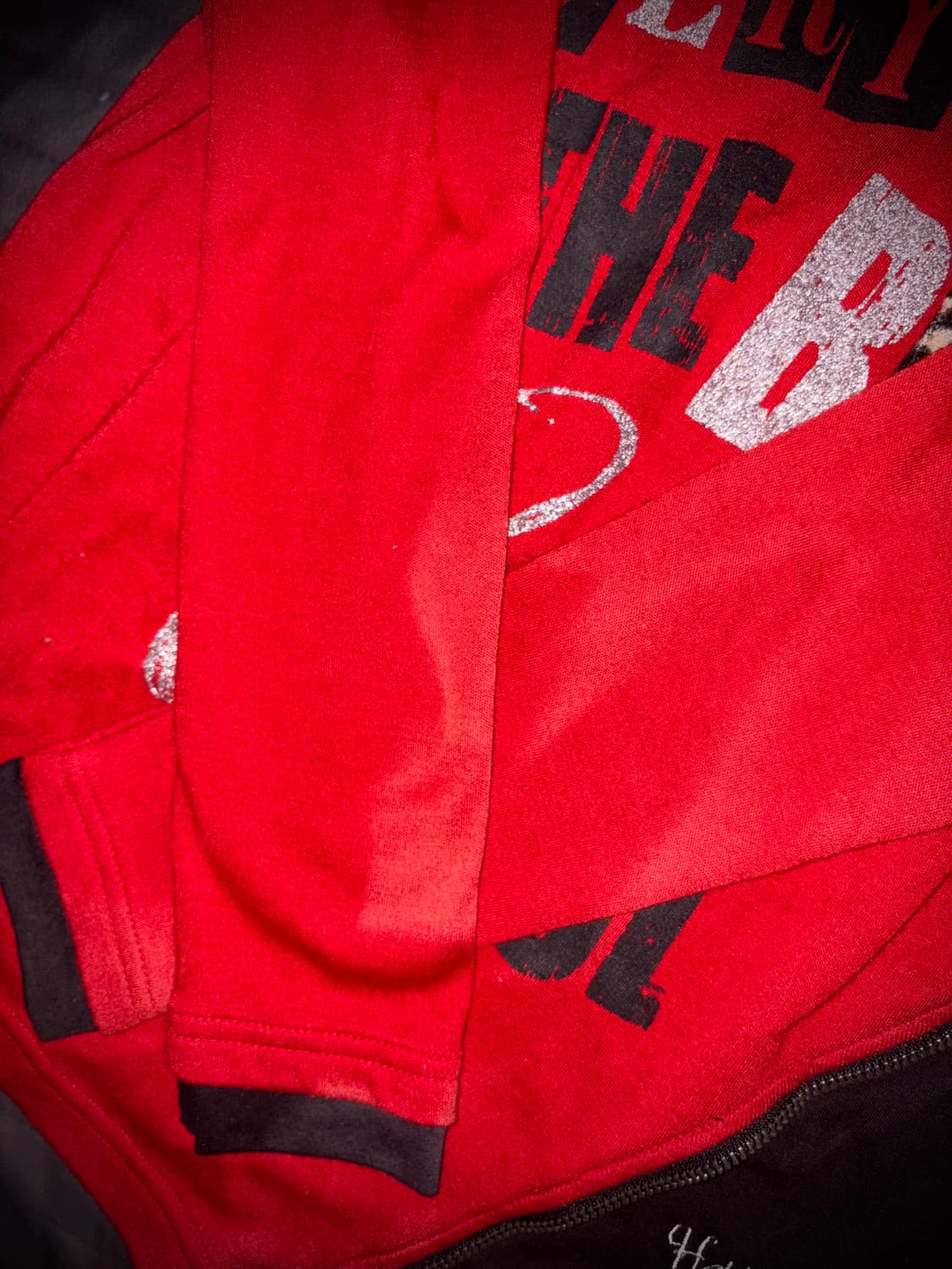 빈티지 갸루 호피 레오파드 레터링 레드 롱슬리브 상품이미지3