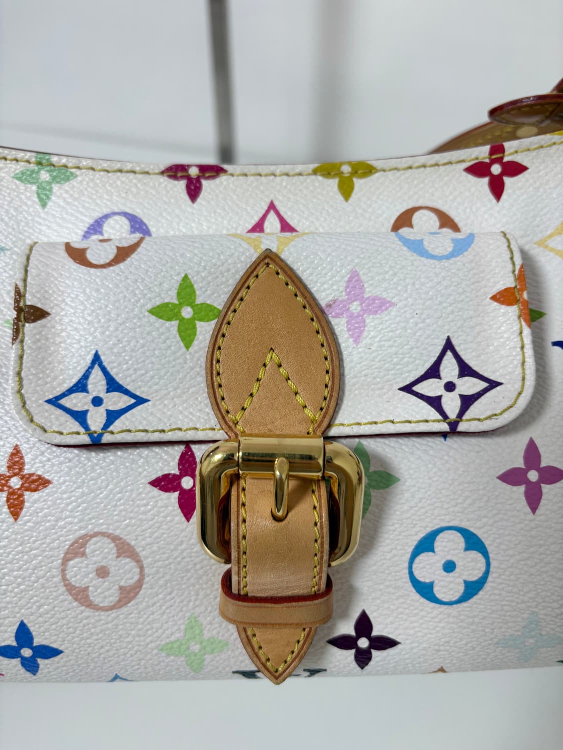 루이비통 멀티컬러 엘리자 숄더백 상품이미지5