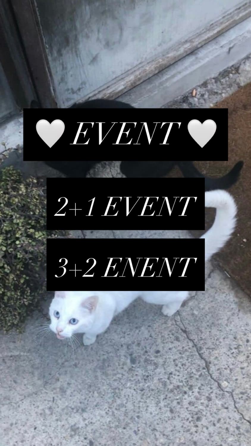 ❤️이벤트❤️ 상품이미지1