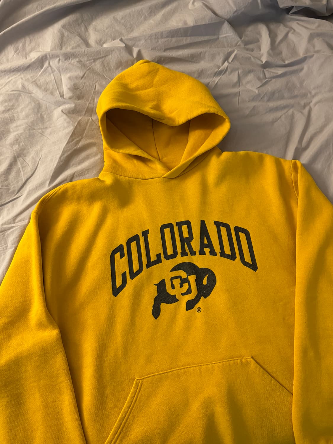 90s 러셀 후디 스웻셔츠 상품이미지2