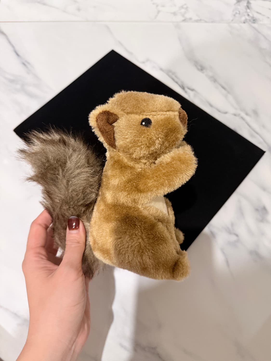 디스커버리 다람쥐 반려견/묘 장난감 인형(삑삑소리남) 상품이미지3