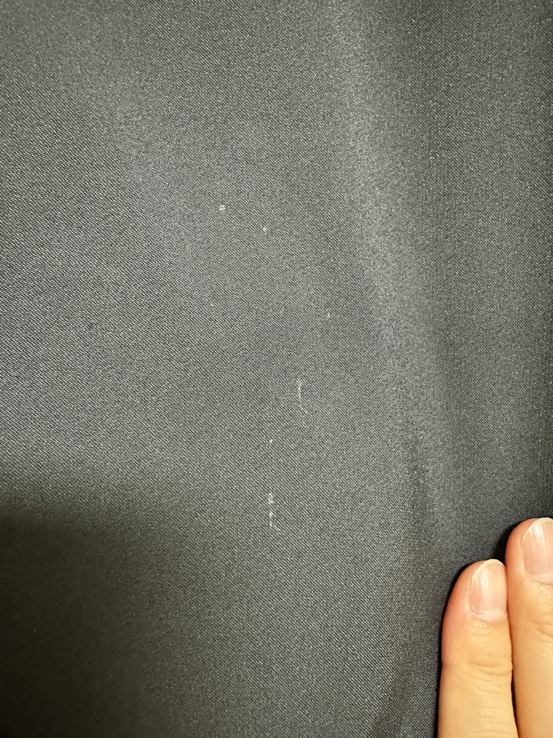 띠어리 네오테릭 바시티 상품이미지4