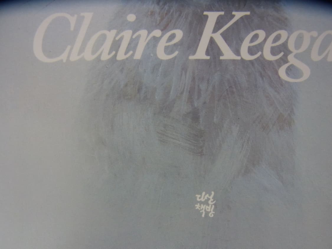 리코 cx5 (작례o) 상품이미지5