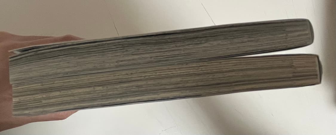 일본어판)붕대공작의 결혼사정 2세트(완결) 상품이미지4