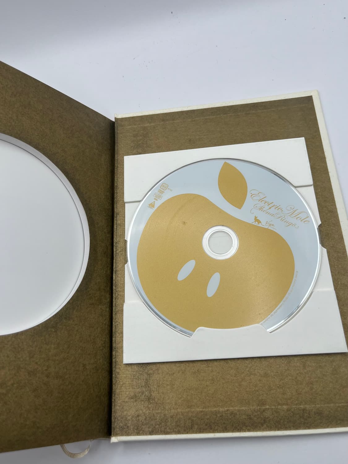 시이나링고 사진집 + DVD 상품이미지6