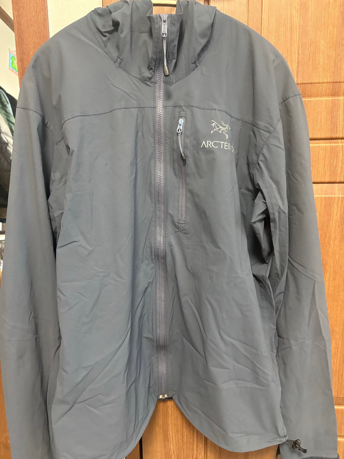 아크테릭스 스쿼미시 후디 상품이미지1