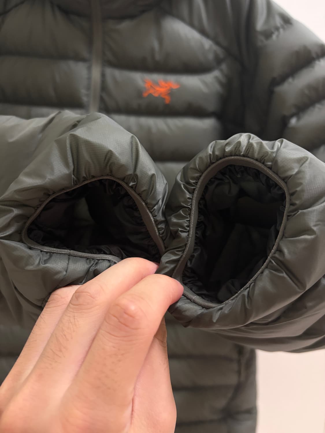 아크테릭스 세륨 후디 포리지 베르베 L 상품이미지3