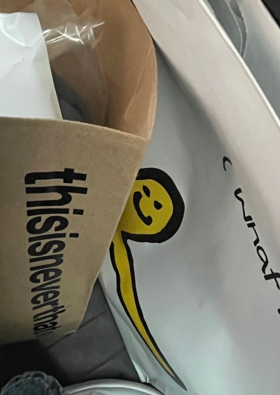 디스이즈네버댓 크롭 후드티 상품이미지3