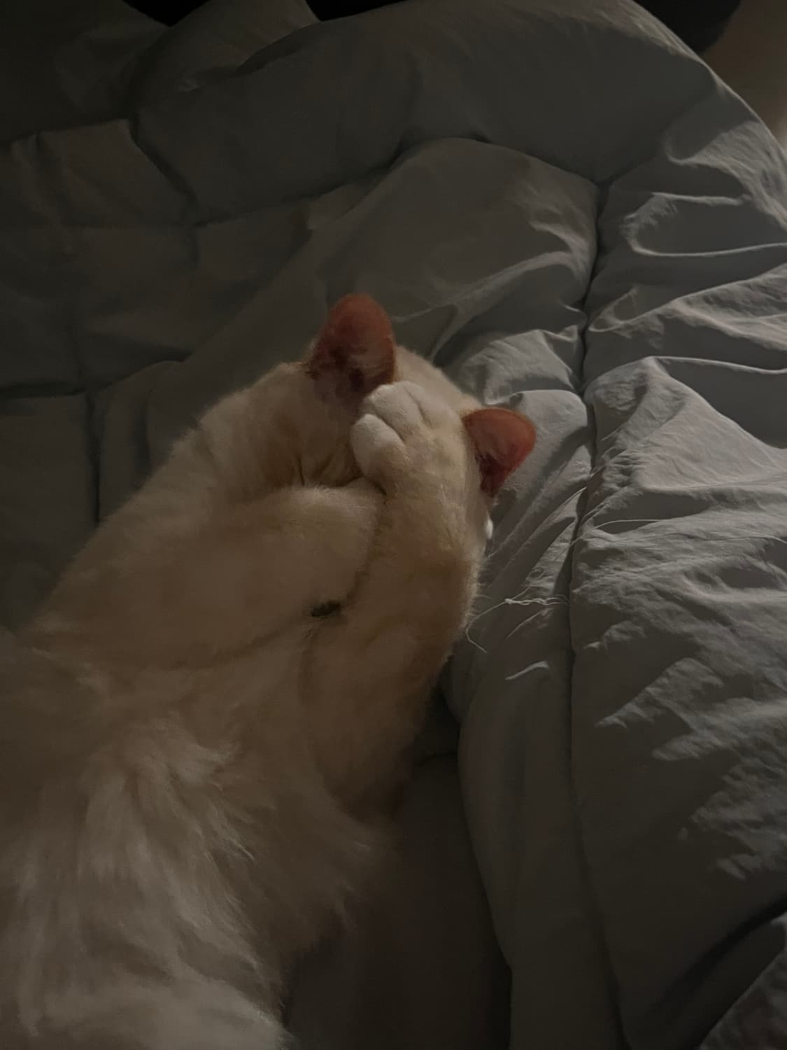 개인결제창 상품이미지1