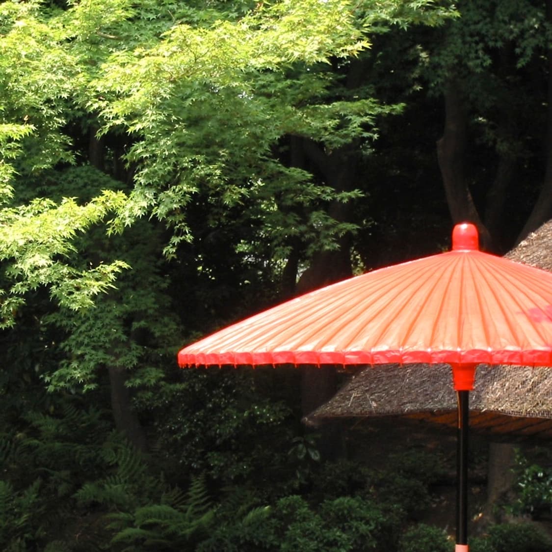 캐논 익서스 Canon IXUS DIGITAL 300 실버 상품이미지5