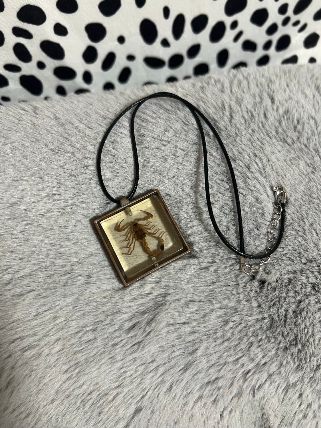 레테 전갈 박제 빈티지 팬던트 목걸이  상품이미지1