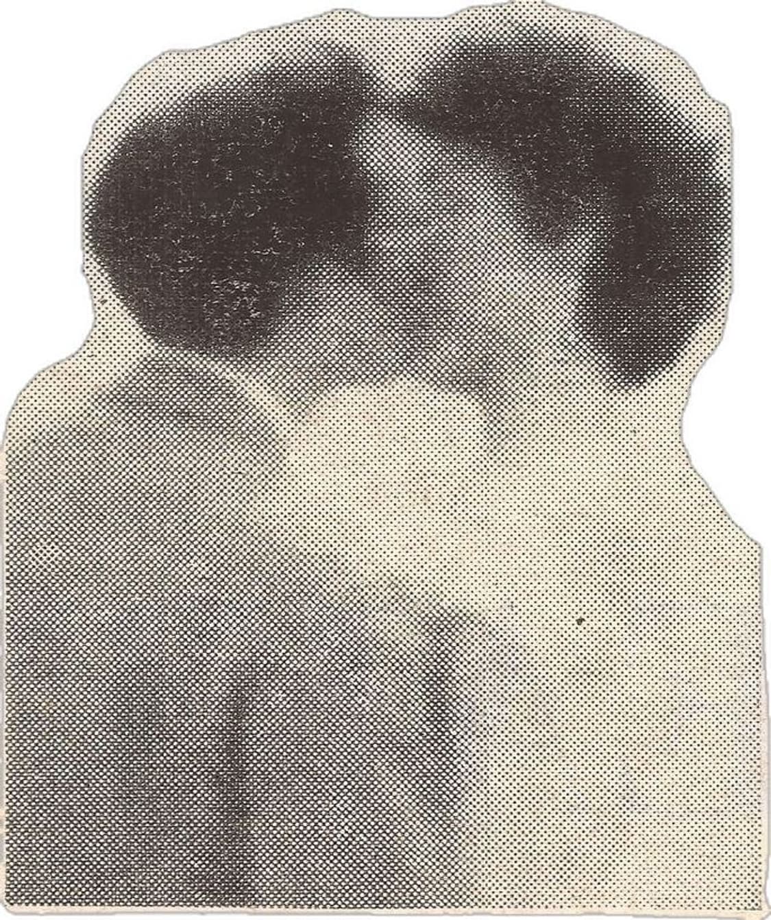 zouwxo 님 결제창 상품이미지1