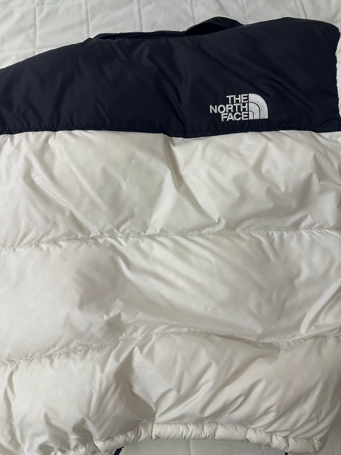 눕시 화이트 L 1996 에코 상품이미지5