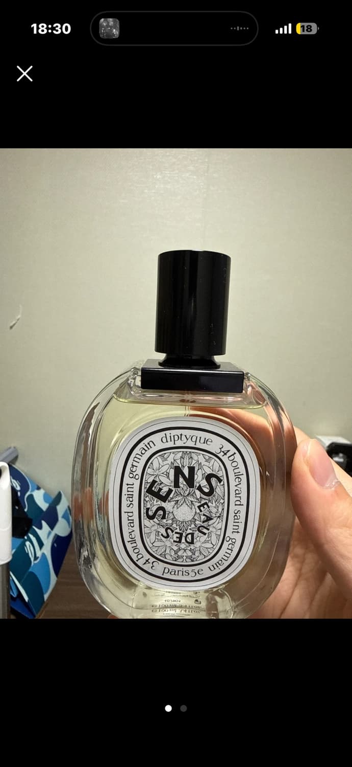 3뿌 ) 딥디크 국문탭 오데썽 풀박스 100ml 상품이미지1