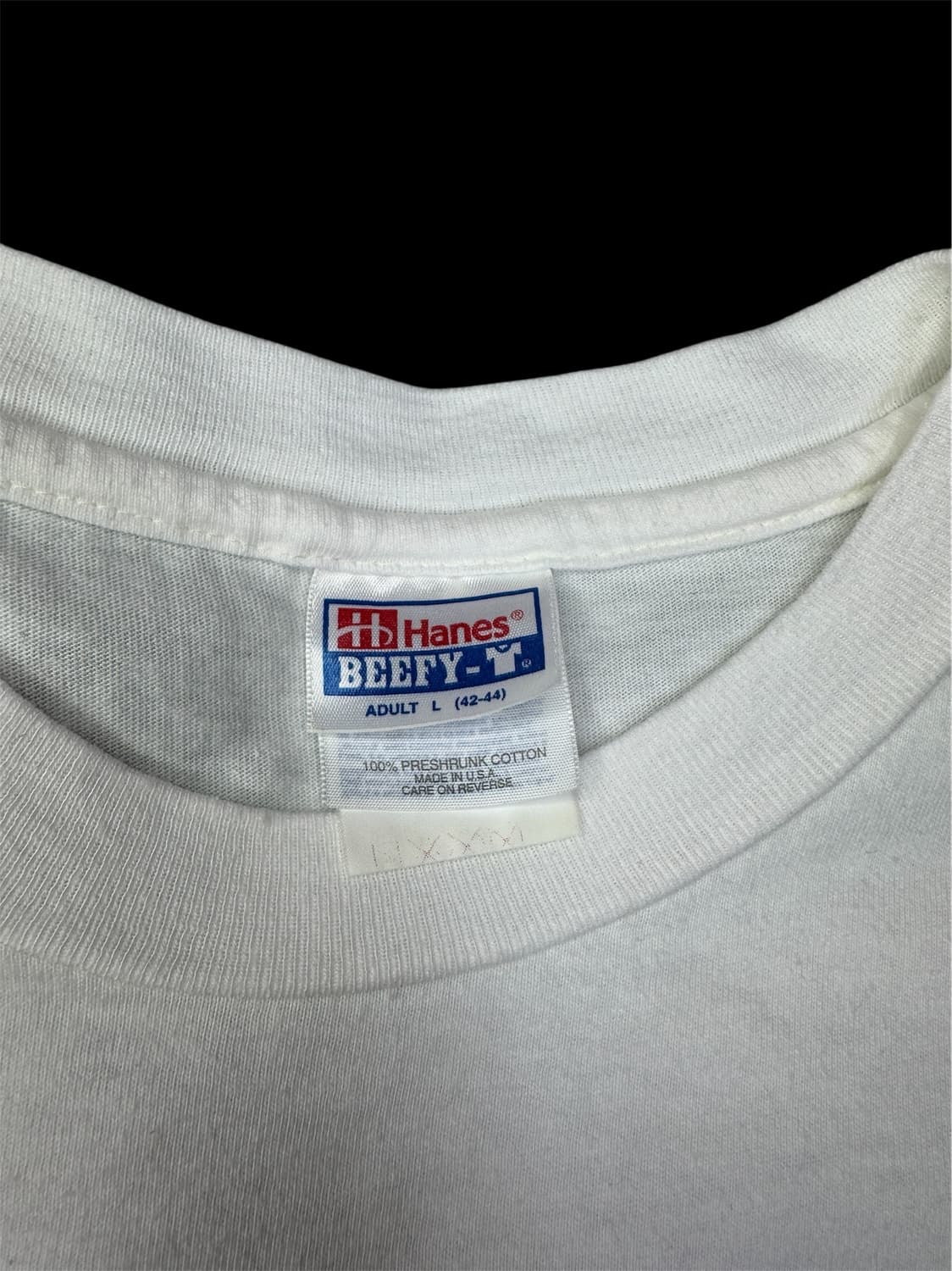 빈티지 90s 엘엘빈 L.L.Bean 이글 그래픽 티셔츠 L 상품이미지5