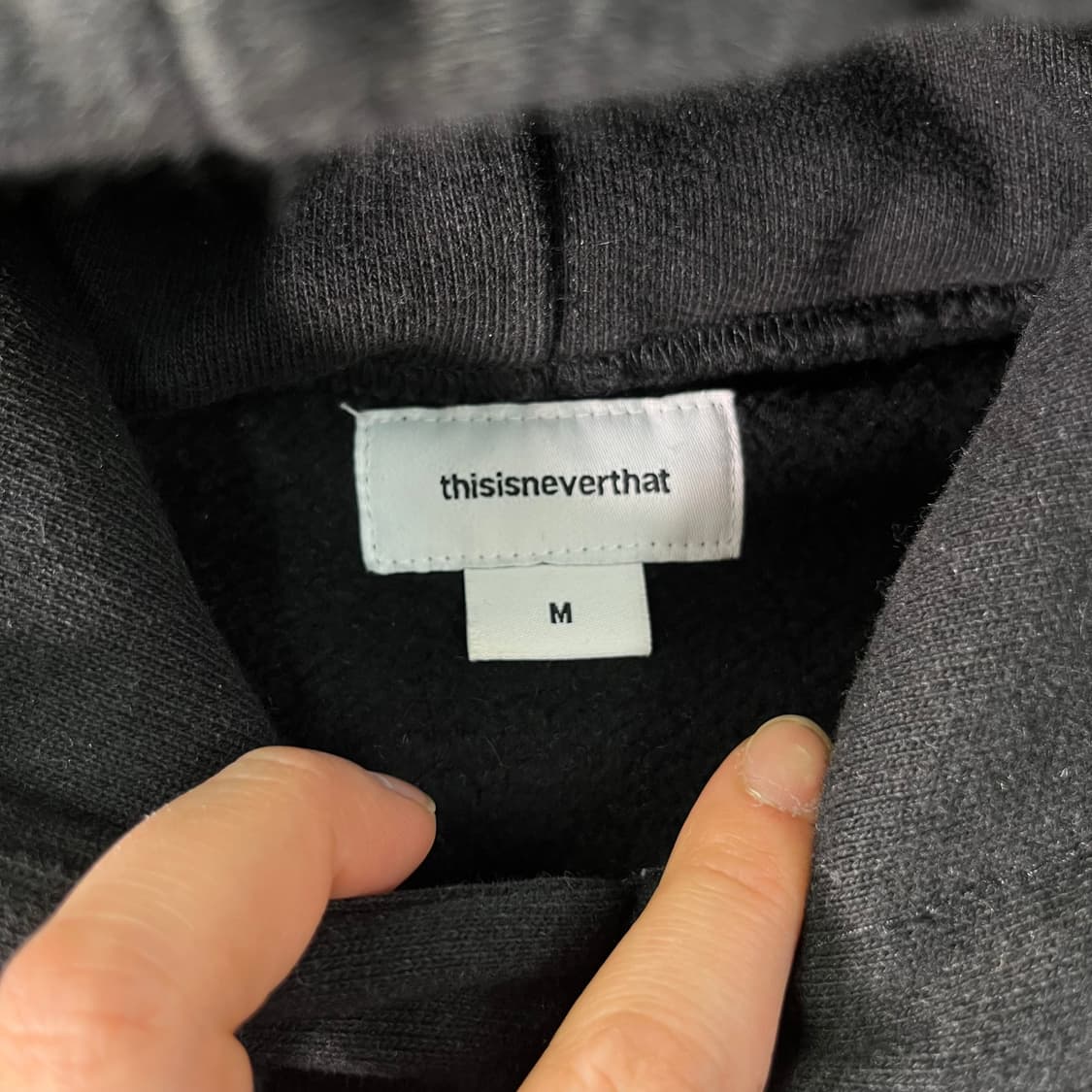 100 디스이즈네버댓 빅로고 후드티 상품이미지3