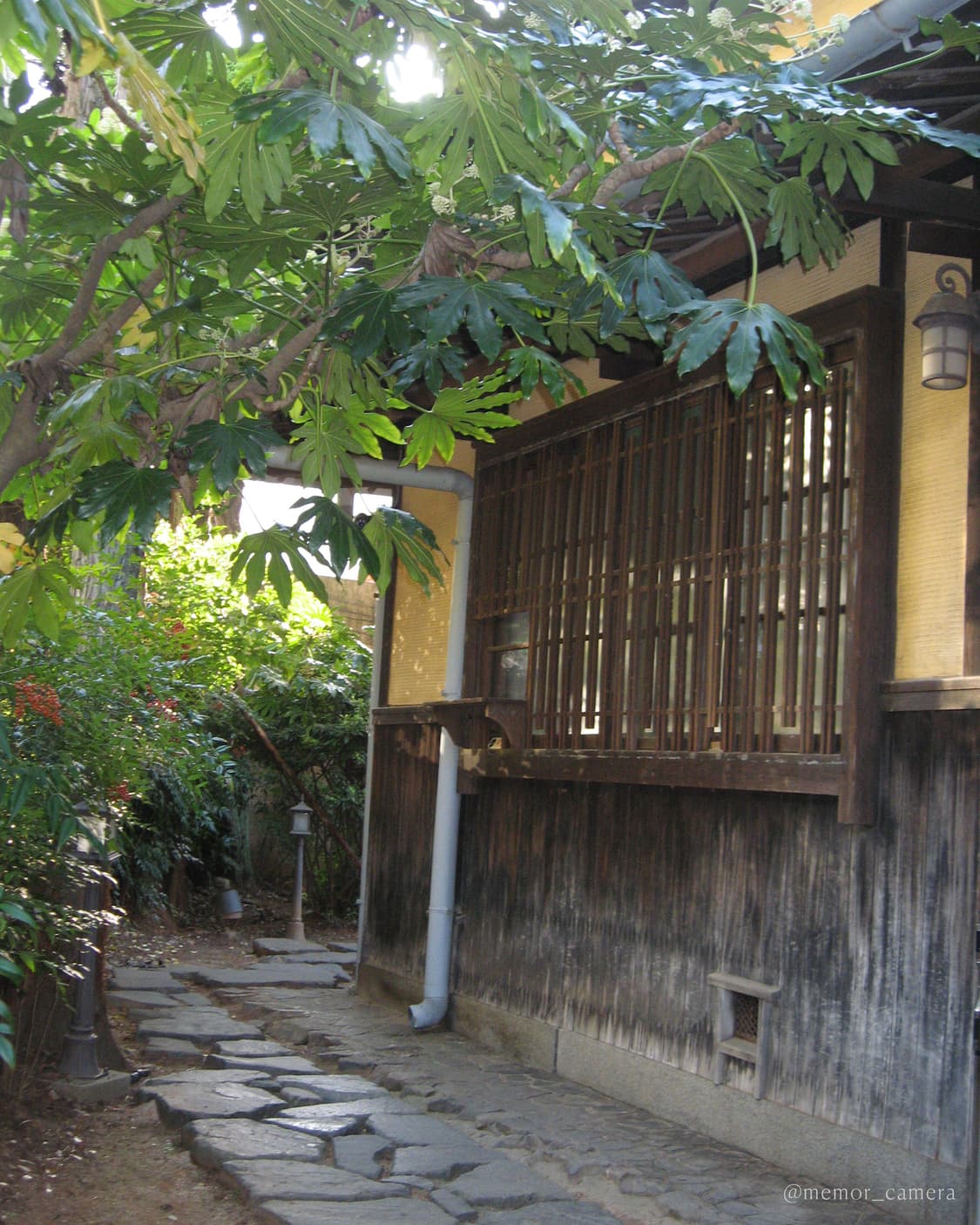 입문자 추천/민트급💎Canon Powershot A550 캐논 디카 상품이미지8