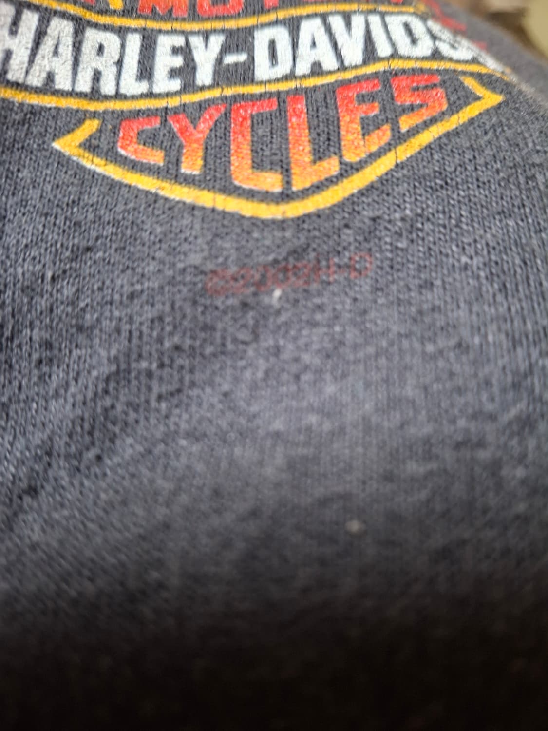 00s 할리 데이비슨 플레임 집업 파카,후디 상품이미지5