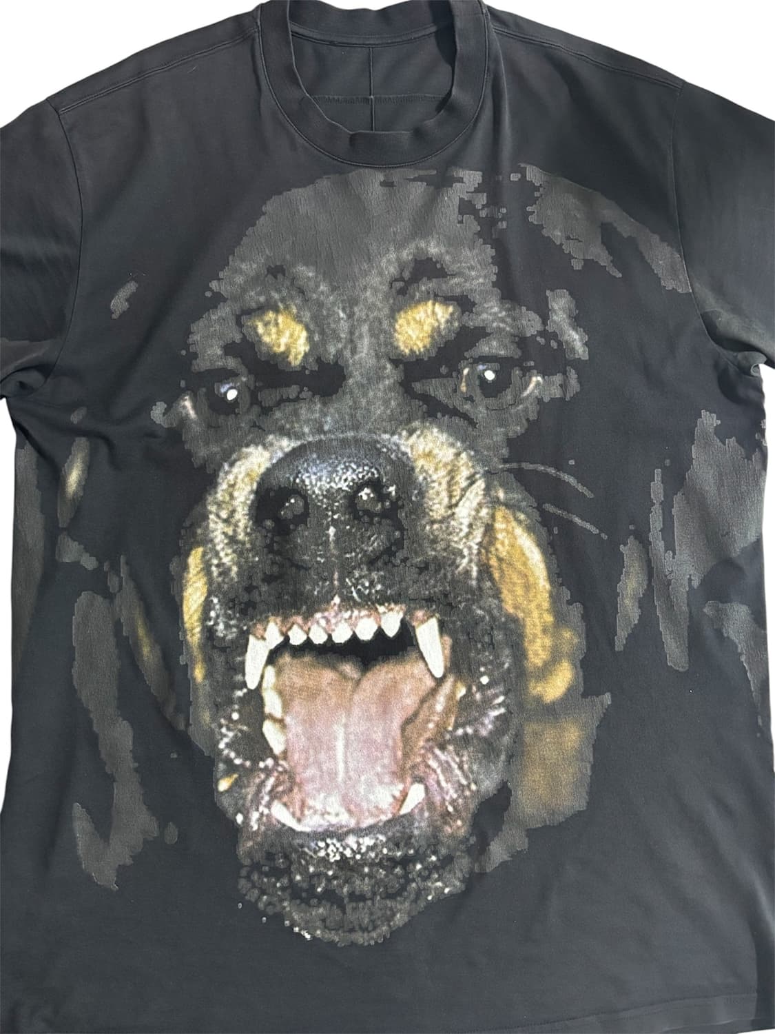 Givenchy 15SS Rottweiler T Shirt 상품이미지4