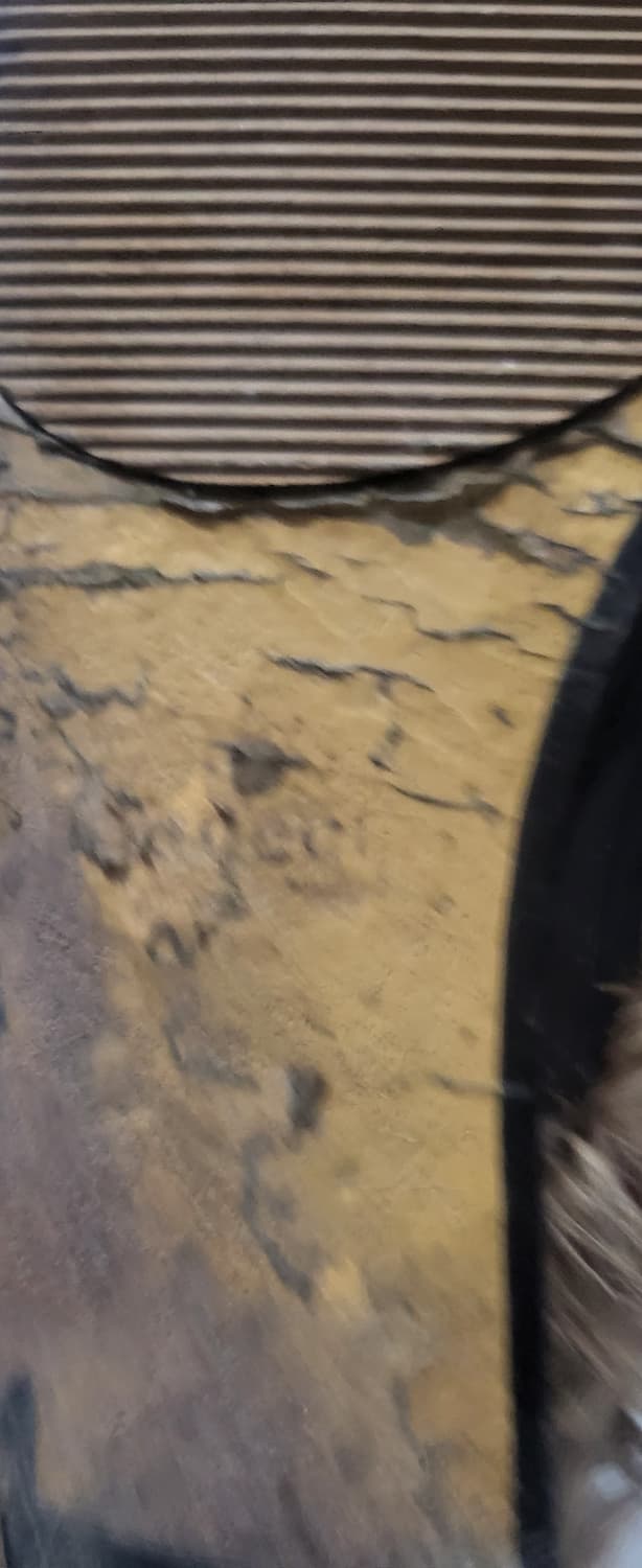 구찌 홀스빗 230 상품이미지4