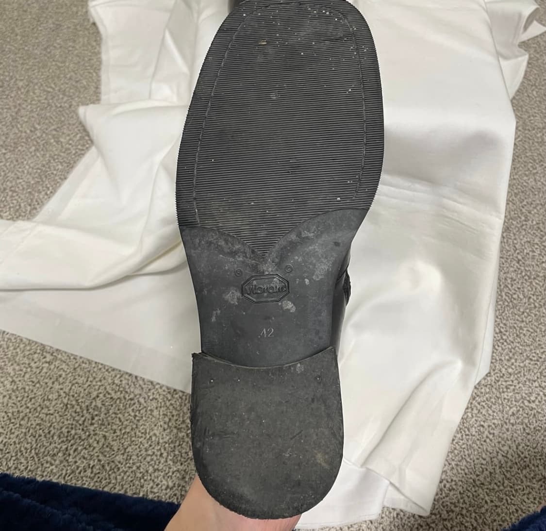 아워레가시 카미온 42 상품이미지6