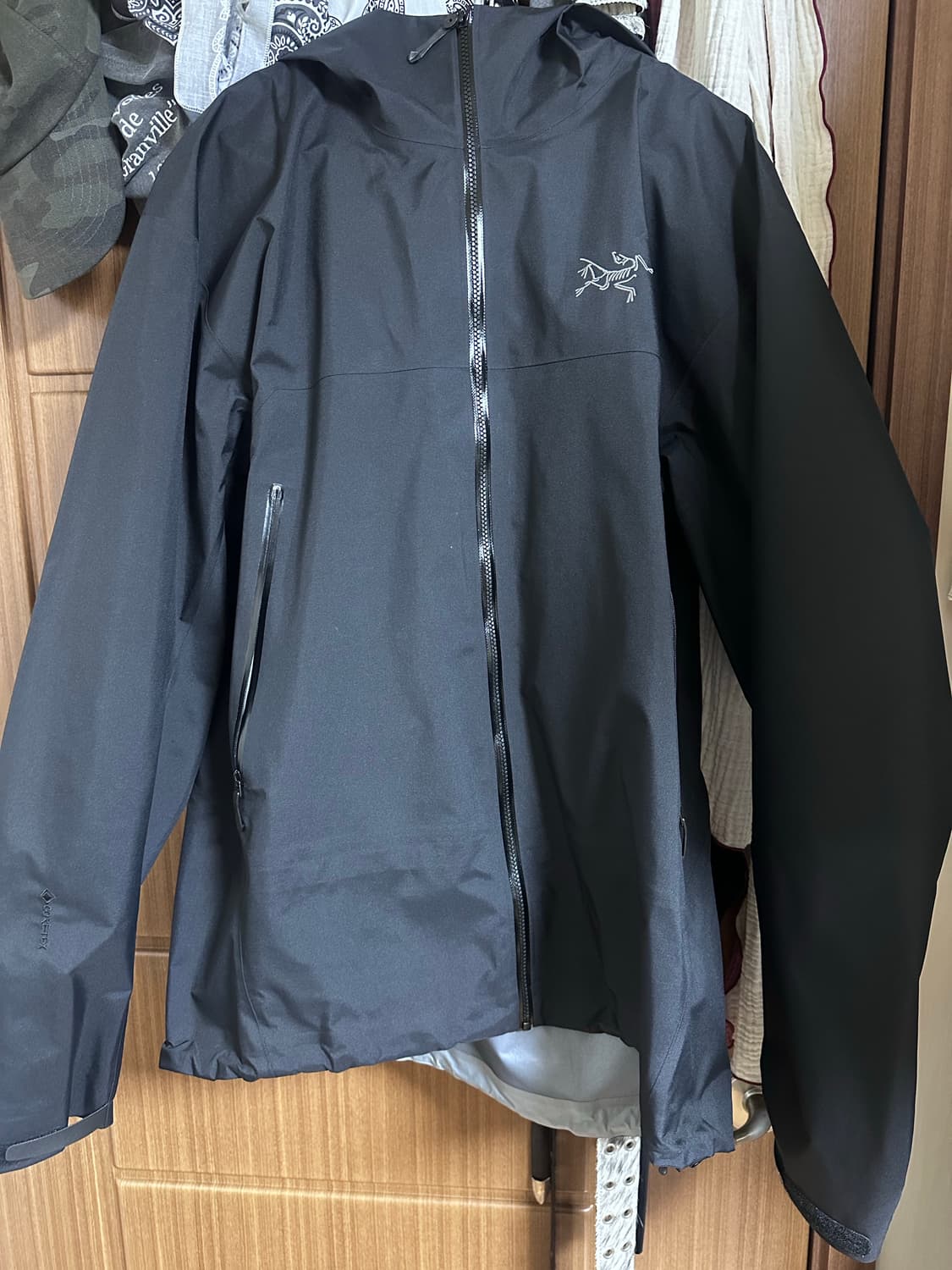 아크테릭스 베타자켓 L 상품이미지2