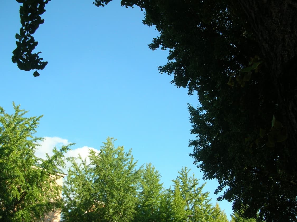 니콘 쿨픽스 4100  상품이미지7