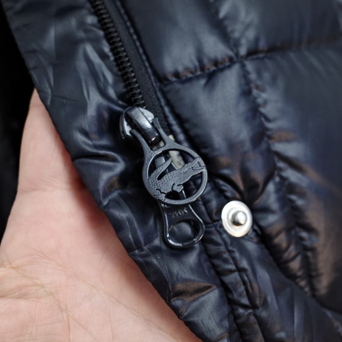 lacoste 상품이미지6