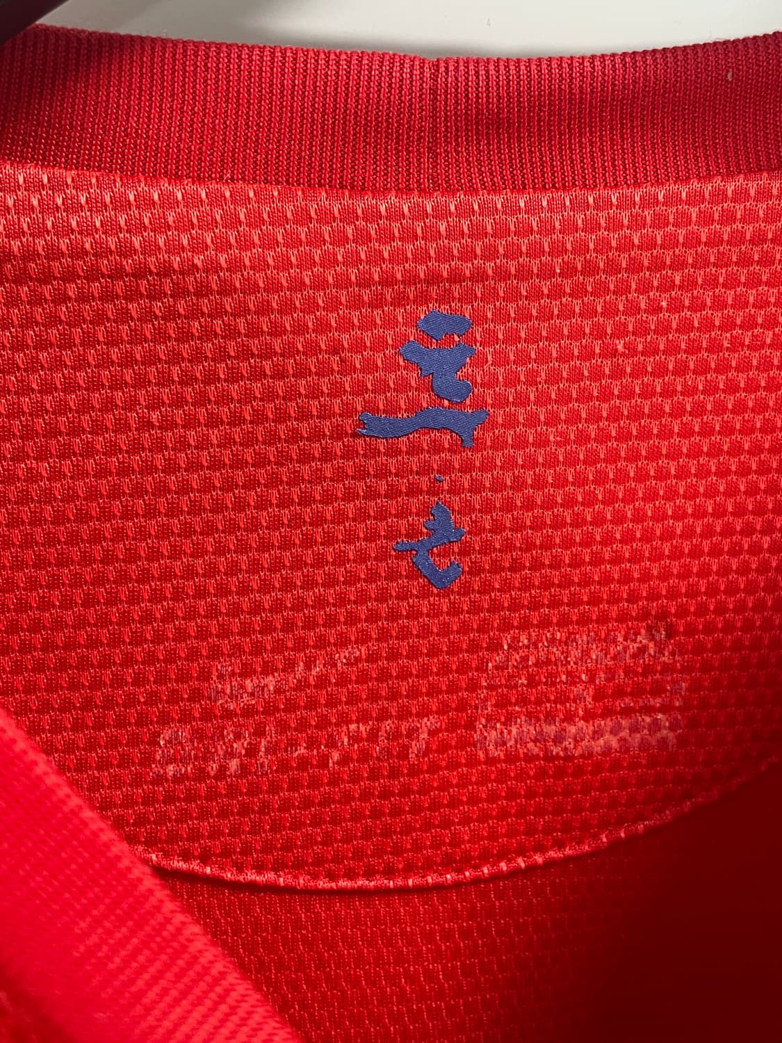 나이키 2002 국대 투혼 축구 반팔 져지(on.539) 상품이미지6