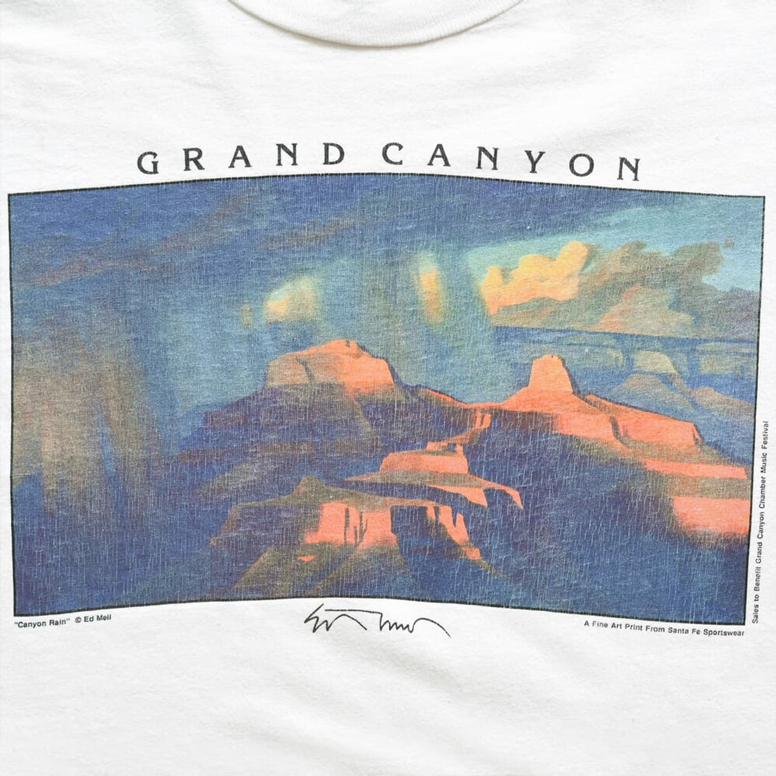 90s Grand Canyon 그랜드 캐니언 빈티지 티셔츠 상품이미지3