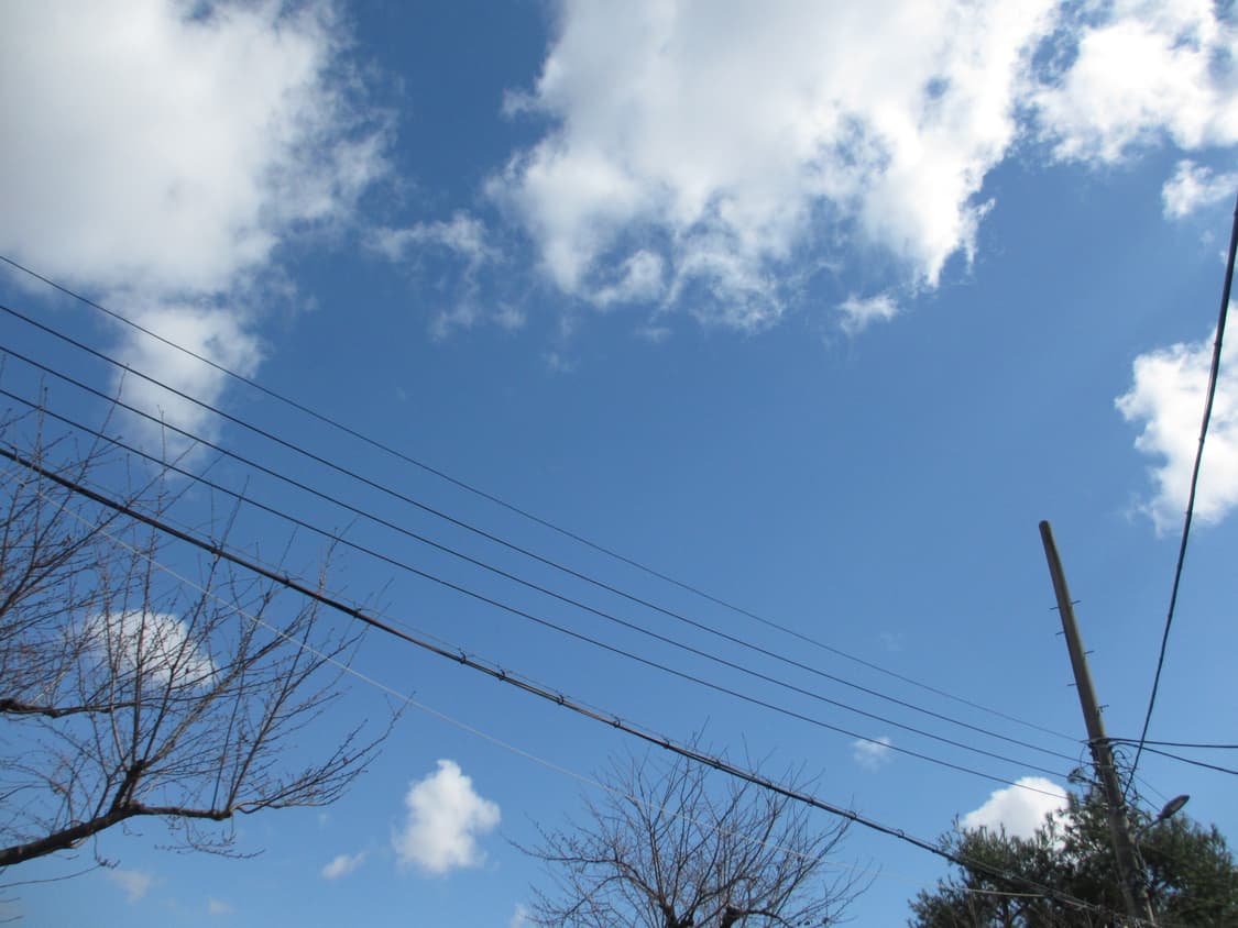 캐논 익시 600F Canon  ixy 600F = ixus 230hs 상품이미지6