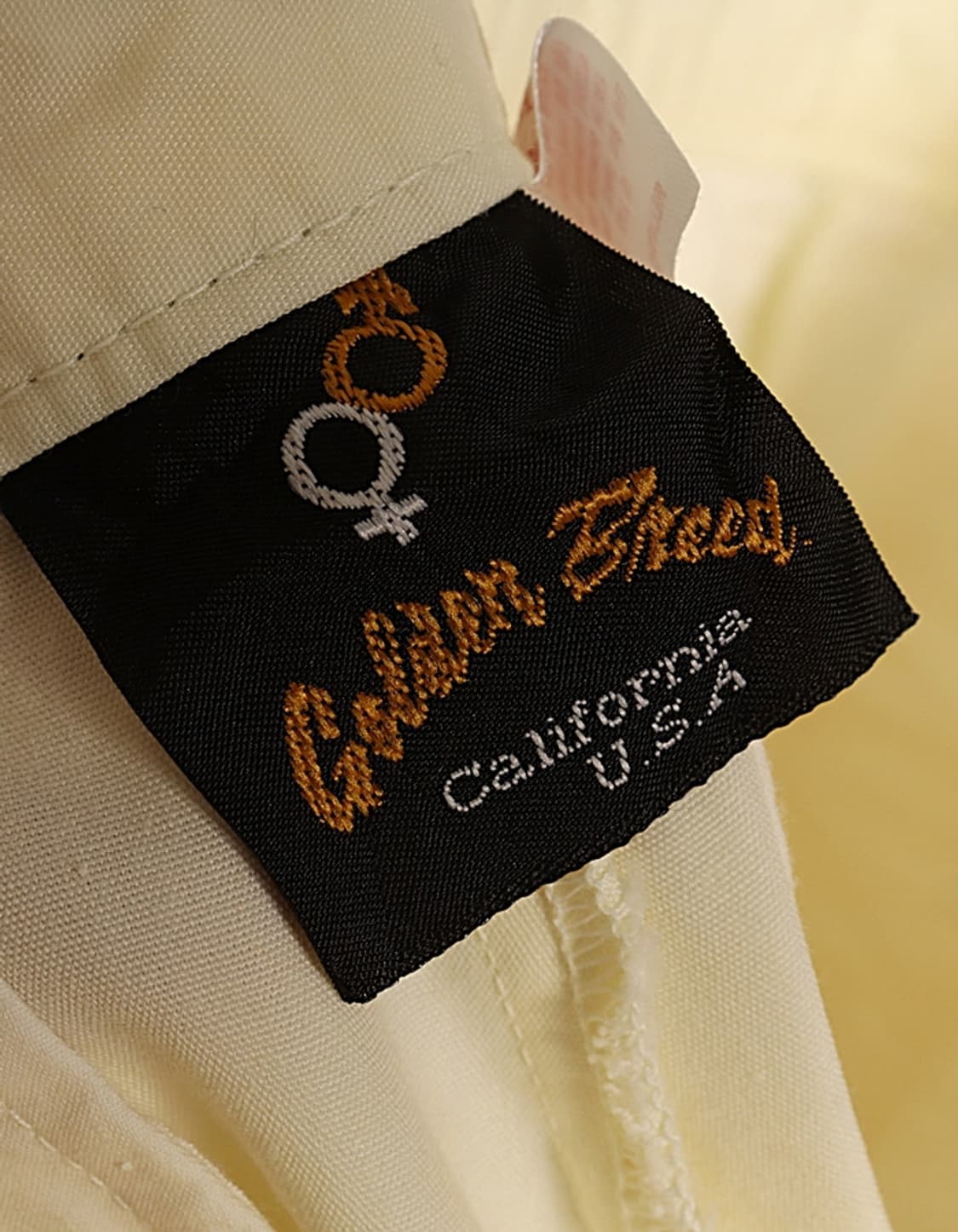 Golden Breed Shorts (30) 상품이미지9