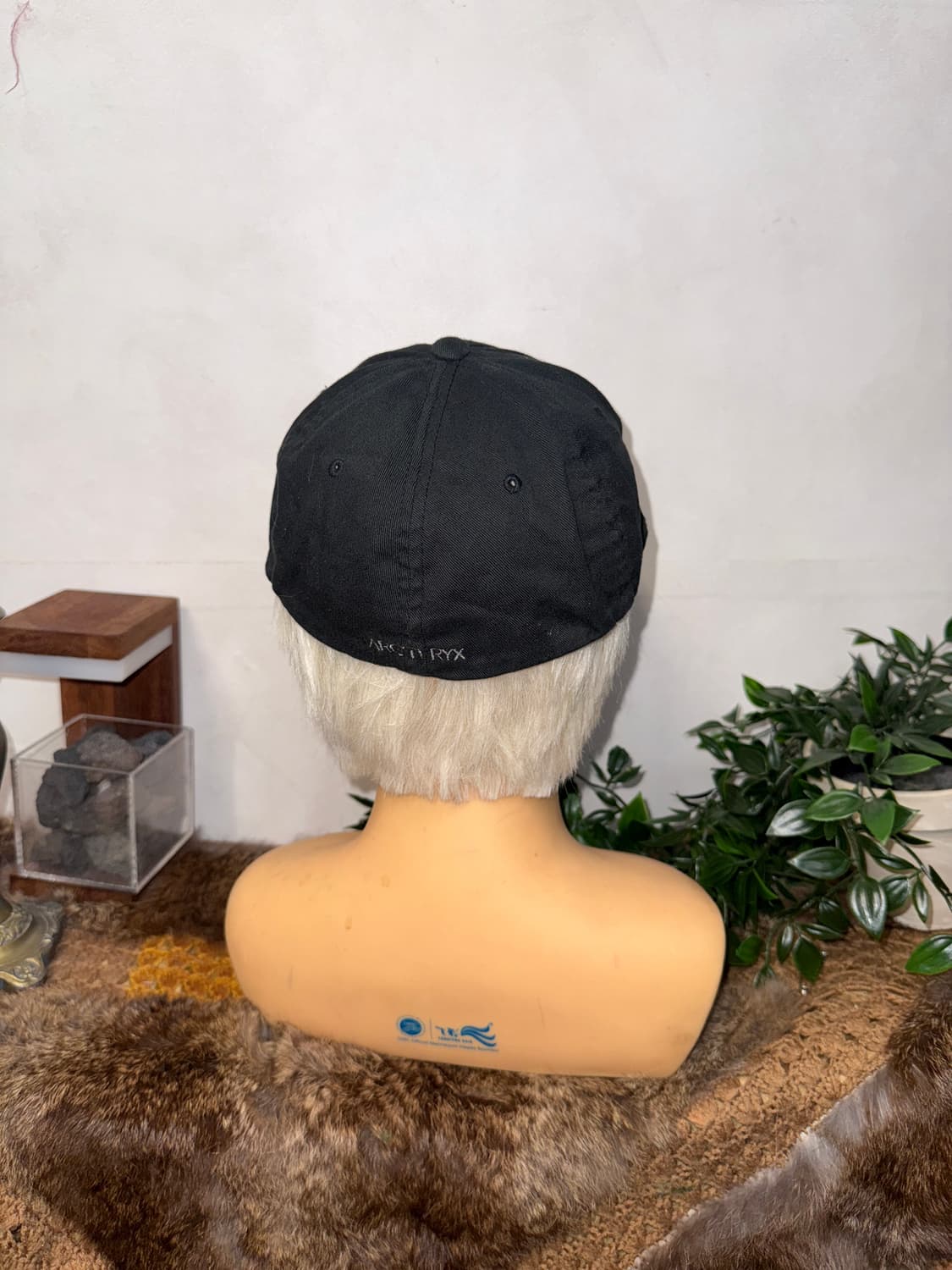 Arc’teryx black bird ball cap 상품이미지4