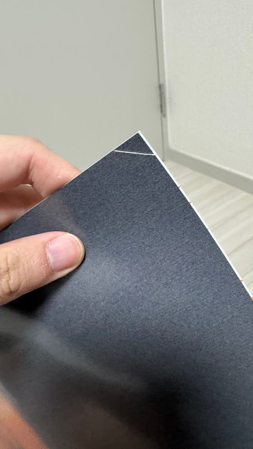 프랭크 오션 : 블론드 - Frank Ocean Blonde LP 상품이미지4