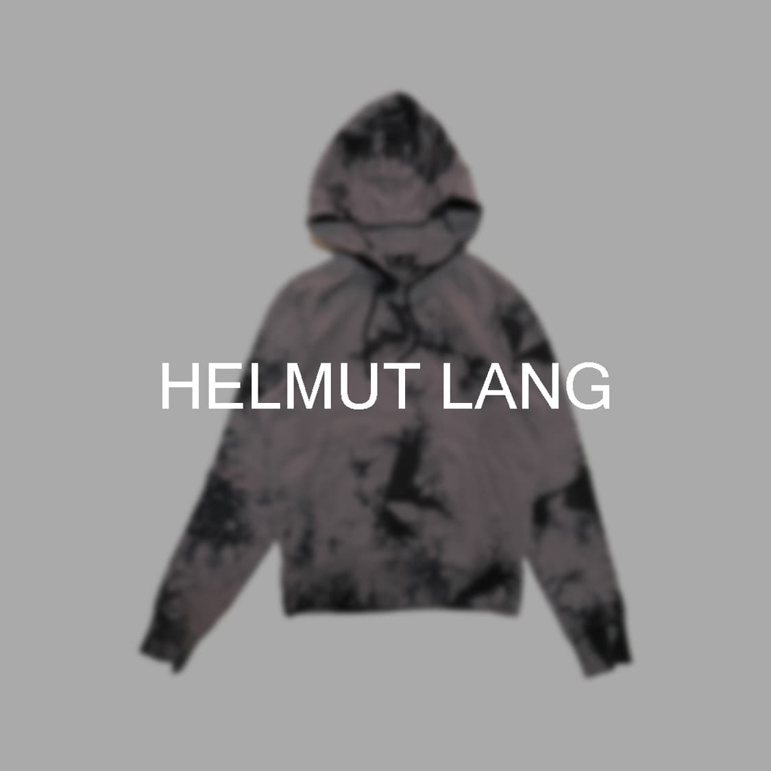 헬무트랭 타이다이 로고 후드티 상품이미지1