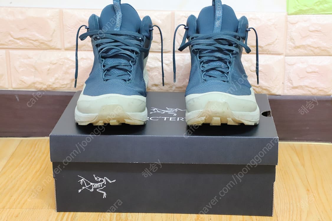ARCTERYX AERIOS FL 2 Mid GTX (아크테릭스에어리어스 상품이미지1