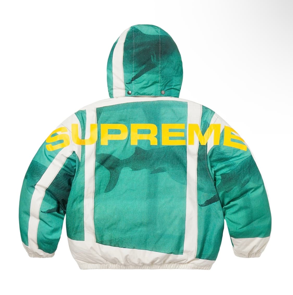 슈프림x데미안허스트 샤크 패딩  상품이미지1