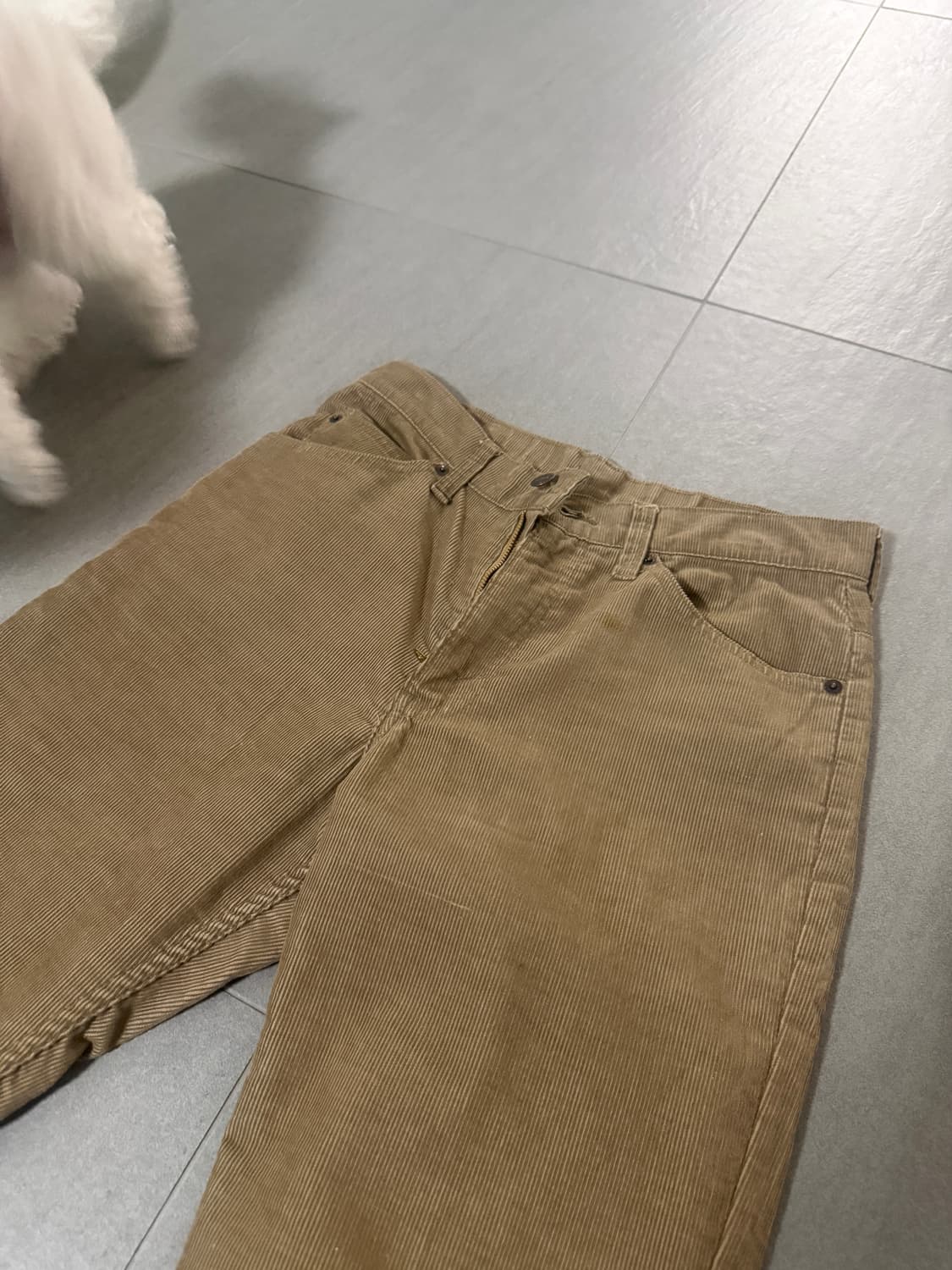 리바이스 517 코듀로이 부츠컷 팬츠  상품이미지4